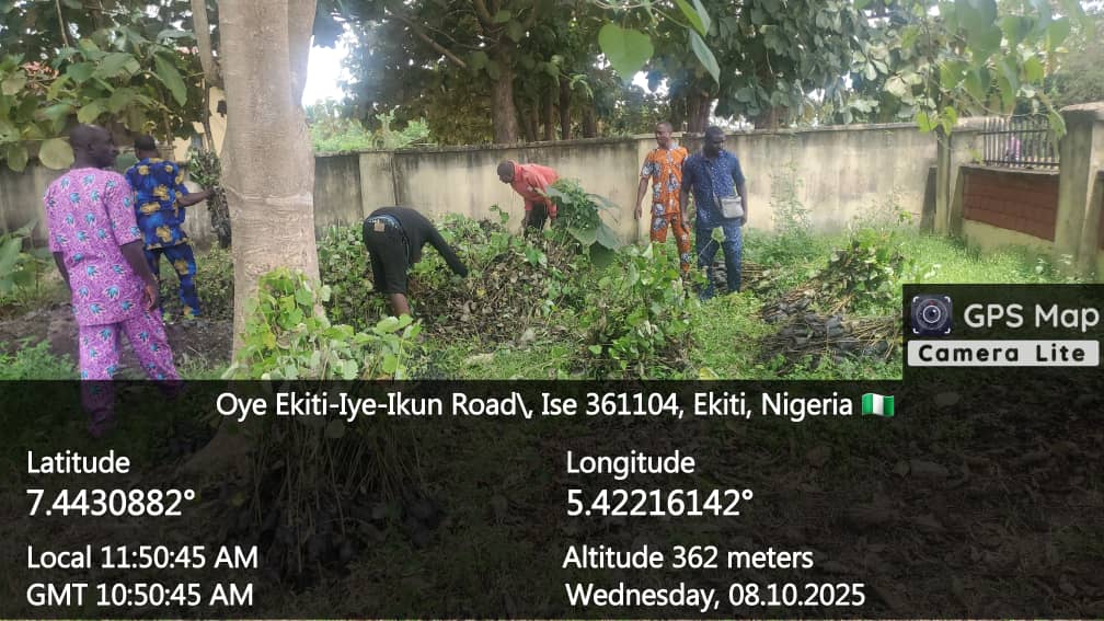 BAO’s Green Revolution: Oyebanji Sparks Forestry Rebirth to Power Ekiti’s Green Economy