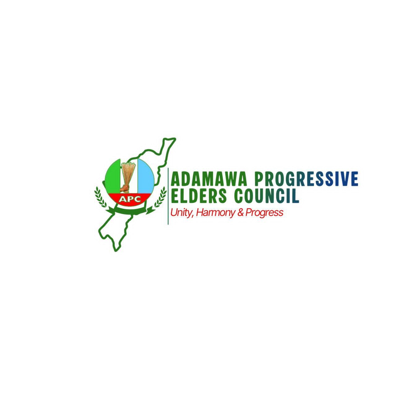 Adamawa APC Elders Endorse Tinubu for 2027 Re-election